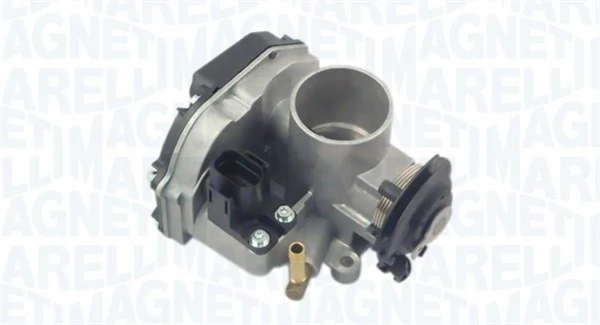 Throttle Body 802000000081