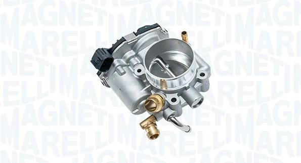 Throttle Body 802000000156