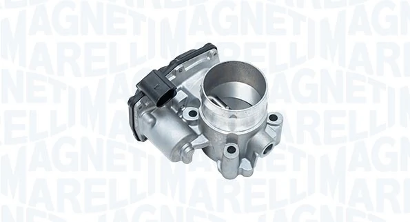 Throttle Body 802000000121