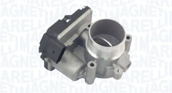 Throttle Body 802000000033