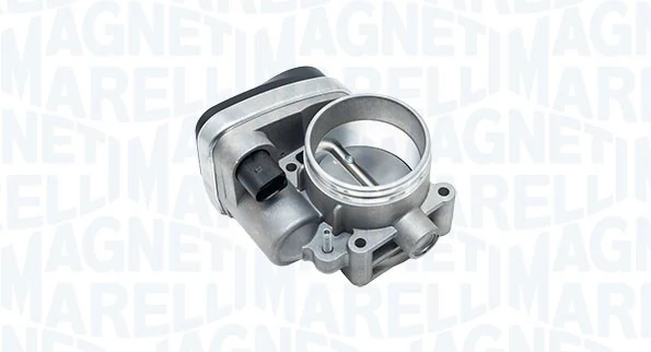Throttle Body 802000000116