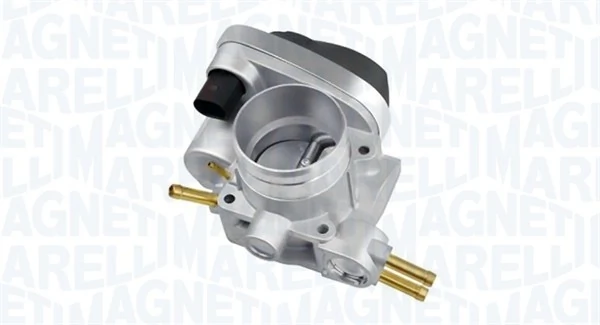 Throttle Body 802000000052