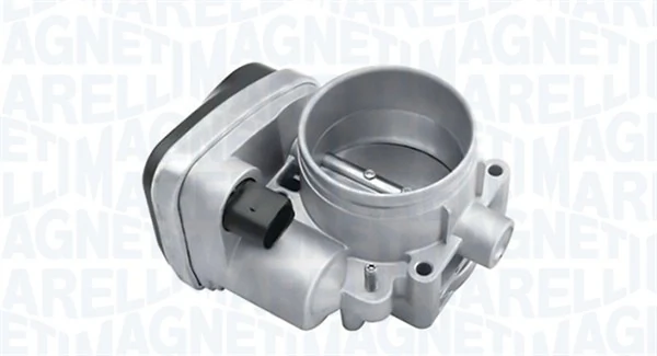 Throttle Body 802000000061