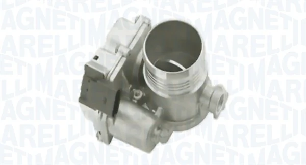 Throttle Body 802000000068