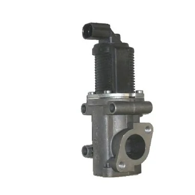 EGR Valve 571822112004