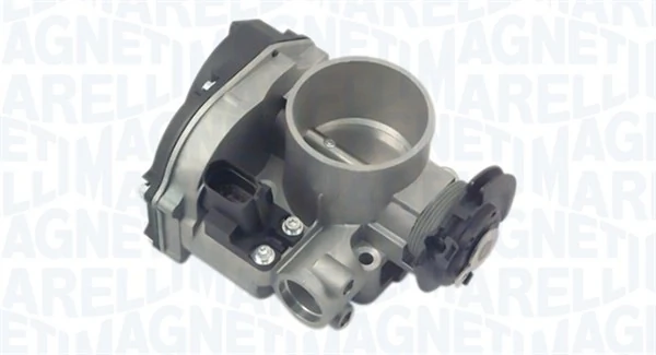 Throttle Body 802000000048