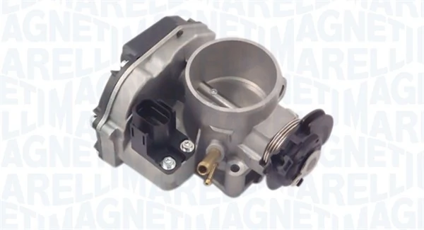Throttle Body 802000000095