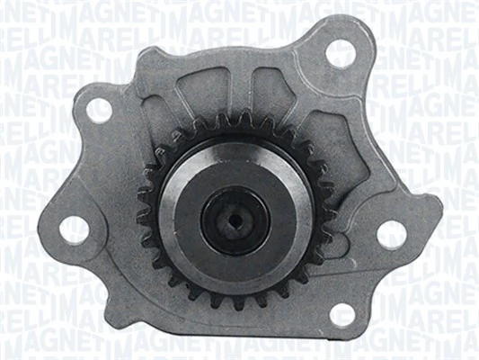 Oil Pump 351516000116