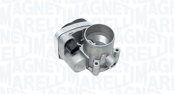 Throttle Body 802000000193