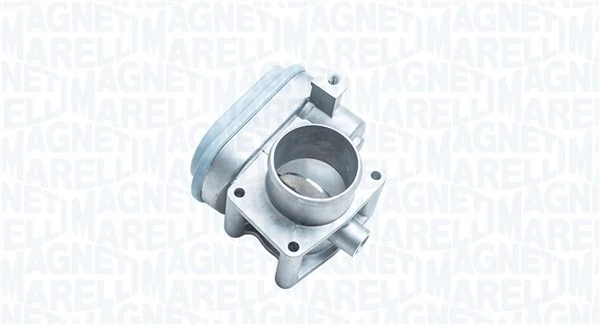 Throttle Body 802000000143