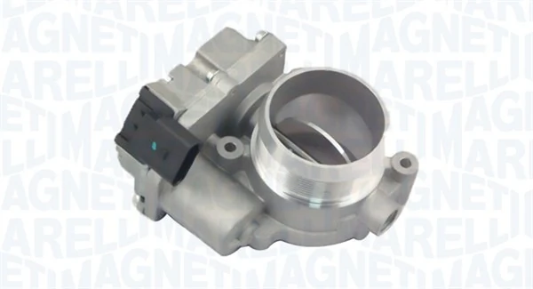 Throttle Body 802000000025