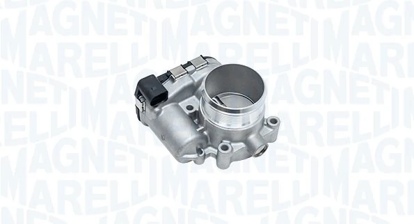 Throttle Body 802000000171
