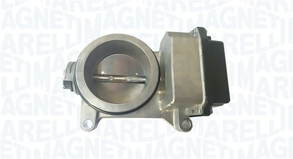 Throttle Body 802000000077