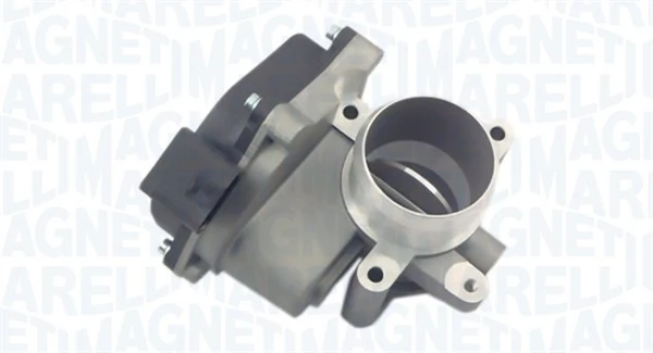 Throttle Body 802000000032