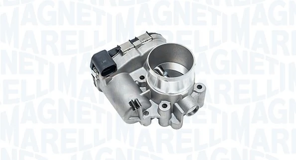 Throttle Body 802000000134