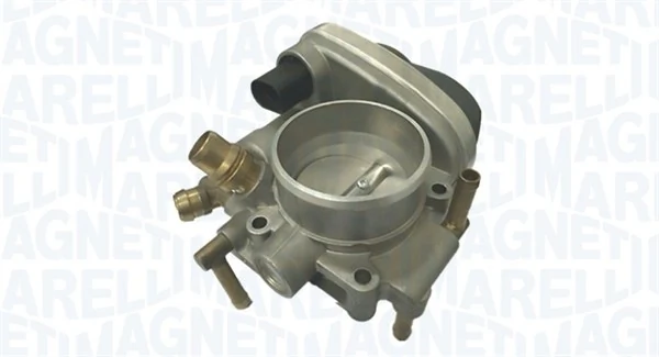 Throttle Body 802000000066