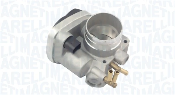 Throttle Body 802000000039