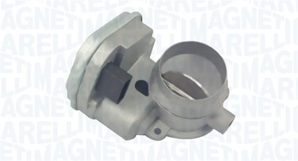 Throttle Body 802000000059