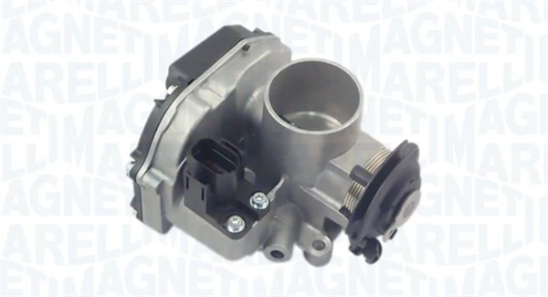 Throttle Body 802000000089