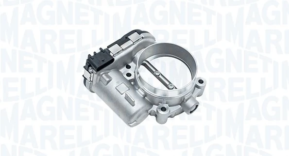 Throttle Body 802000000188