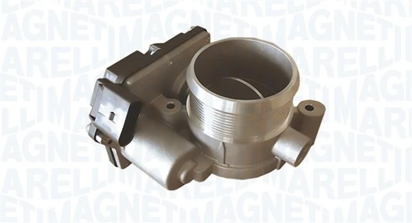 Throttle Body 802000000036