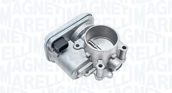 Throttle Body 802000000167