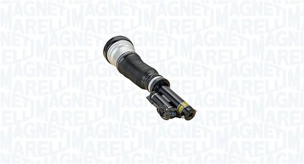 Air Suspension Strut 350243800001