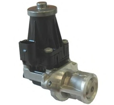 EGR Valve 571822112072