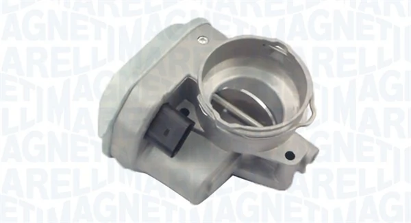 Throttle Body 802000000024