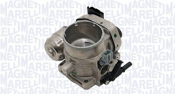 Throttle Body 802001985303