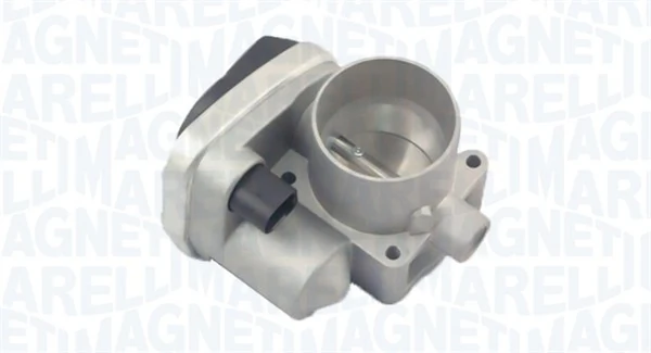 Throttle Body 802000000085