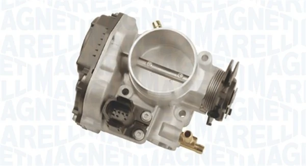Throttle Body 802000000097