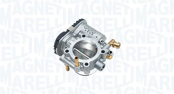 Throttle Body 802000000156