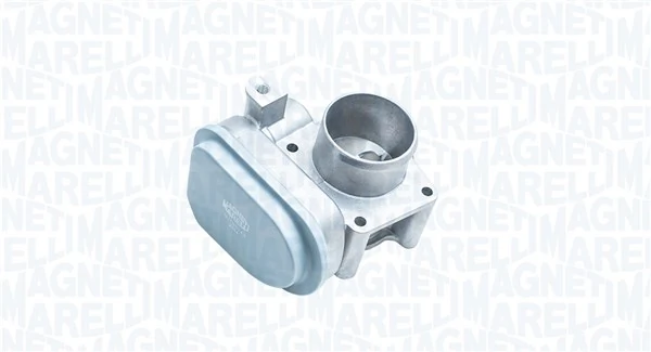 Throttle Body 802000000143