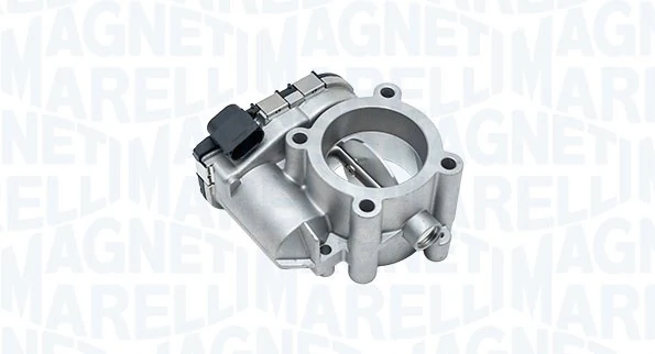 Throttle Body 802000000129
