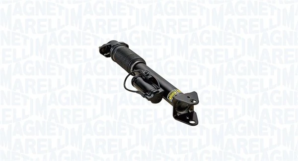 Air Suspension Strut 350016600001