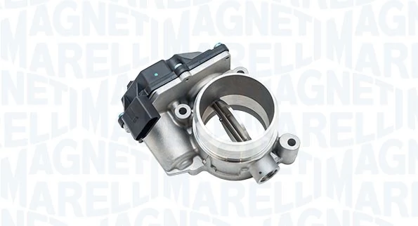 Throttle Body 802000000144