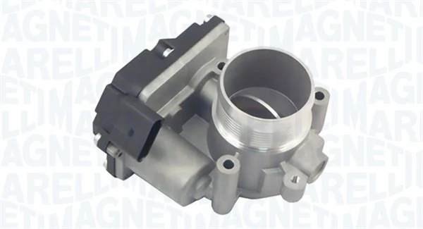Throttle Body 802000000034