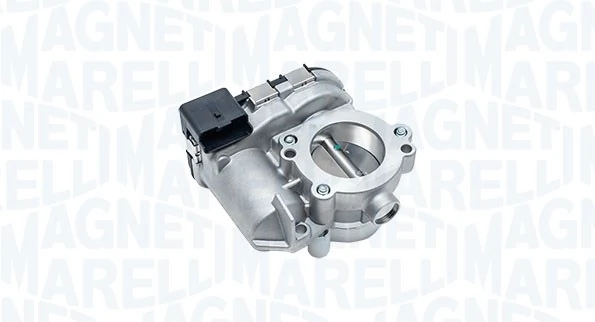 Throttle Body 802000000157