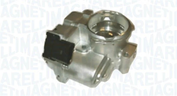 Throttle Body 802000000031