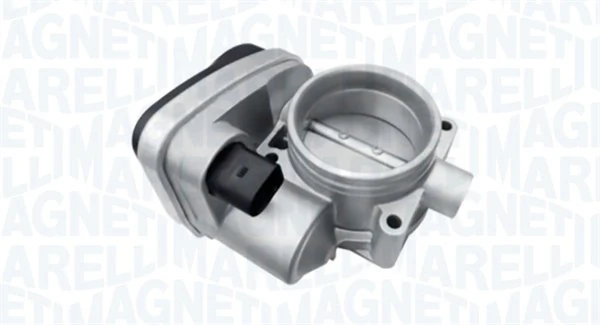 Throttle Body 802000000060