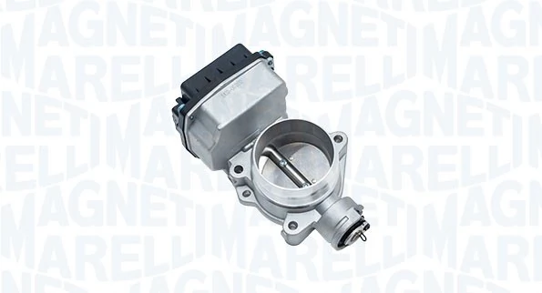 Throttle Body 802000000133