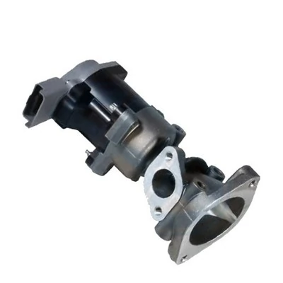 EGR Valve 571822112034