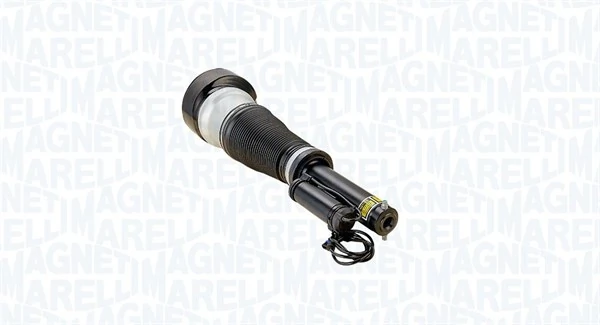 Air Suspension Strut 350491300001