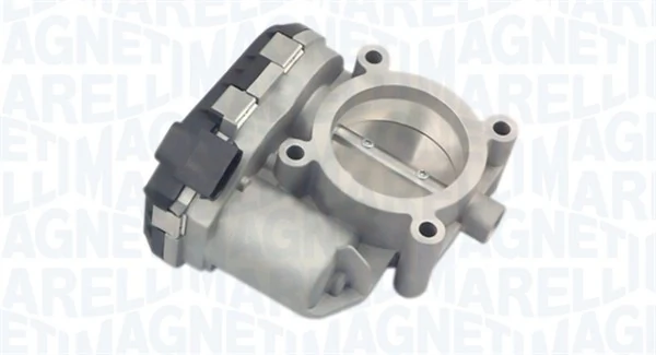 Throttle Body 802000000074