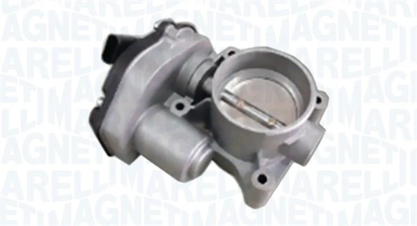 Throttle Body 802000000069