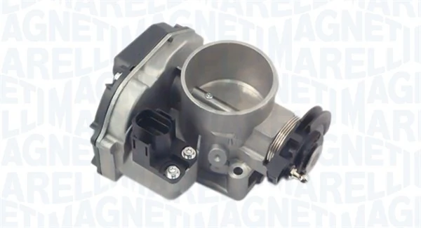 Throttle Body 802000000047
