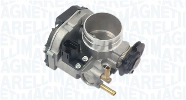 Throttle Body 802000000044