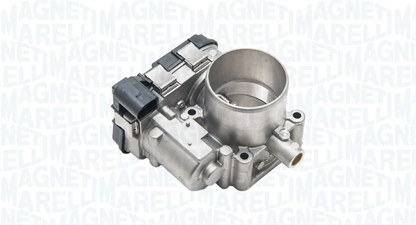 Throttle Body 802009643001