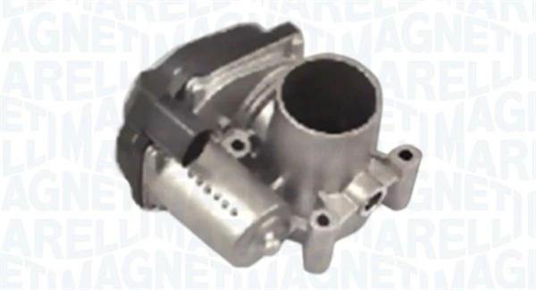 Throttle Body 802000000083